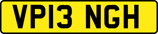 VP13NGH