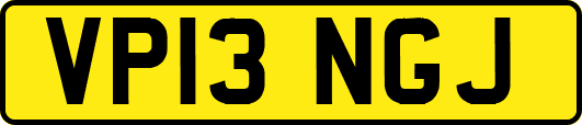 VP13NGJ