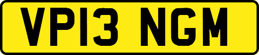 VP13NGM