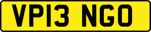 VP13NGO