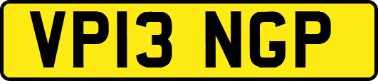 VP13NGP