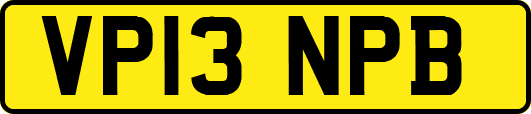 VP13NPB