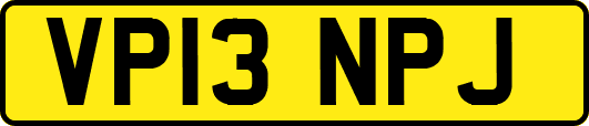 VP13NPJ