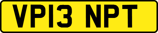 VP13NPT
