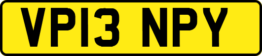 VP13NPY