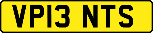 VP13NTS