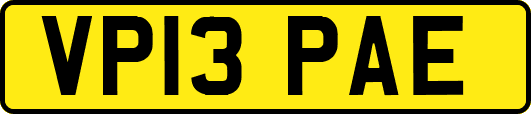 VP13PAE