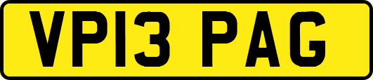 VP13PAG