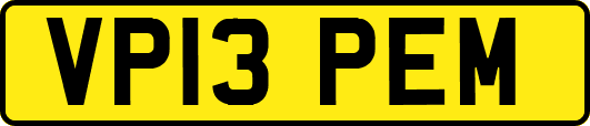 VP13PEM