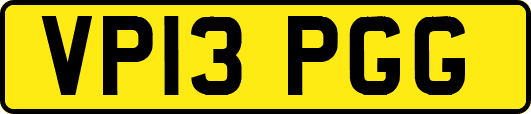VP13PGG