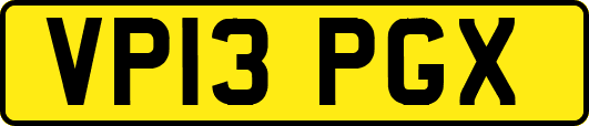 VP13PGX