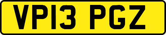 VP13PGZ