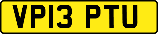 VP13PTU
