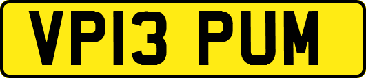 VP13PUM