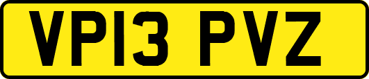 VP13PVZ