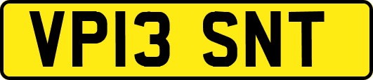 VP13SNT