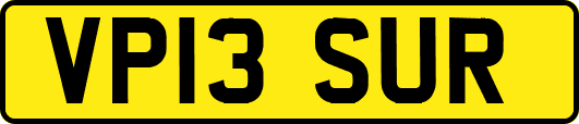 VP13SUR