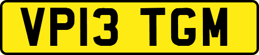 VP13TGM