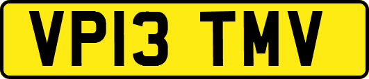 VP13TMV