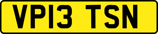 VP13TSN