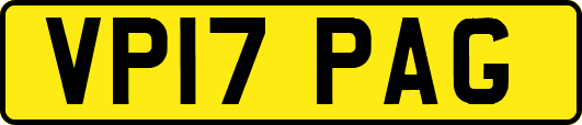 VP17PAG