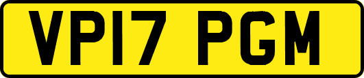 VP17PGM