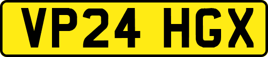VP24HGX