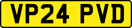 VP24PVD