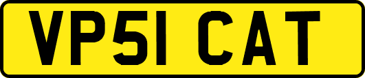 VP51CAT