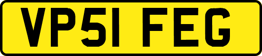 VP51FEG