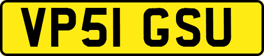 VP51GSU