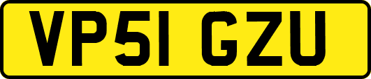 VP51GZU