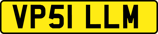VP51LLM
