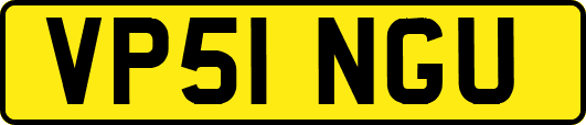 VP51NGU