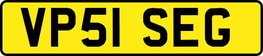 VP51SEG