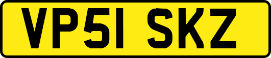 VP51SKZ