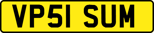 VP51SUM