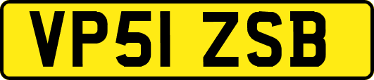 VP51ZSB