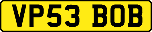 VP53BOB