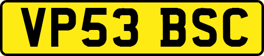 VP53BSC