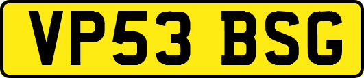 VP53BSG
