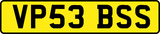 VP53BSS