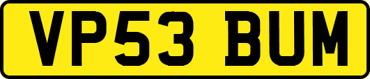 VP53BUM