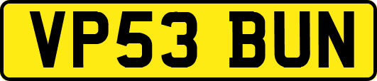 VP53BUN