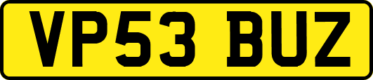 VP53BUZ
