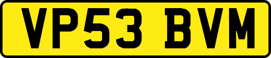 VP53BVM