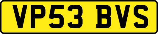 VP53BVS