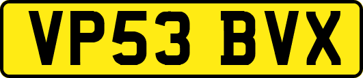 VP53BVX