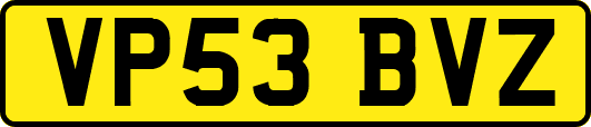 VP53BVZ
