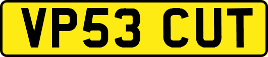 VP53CUT